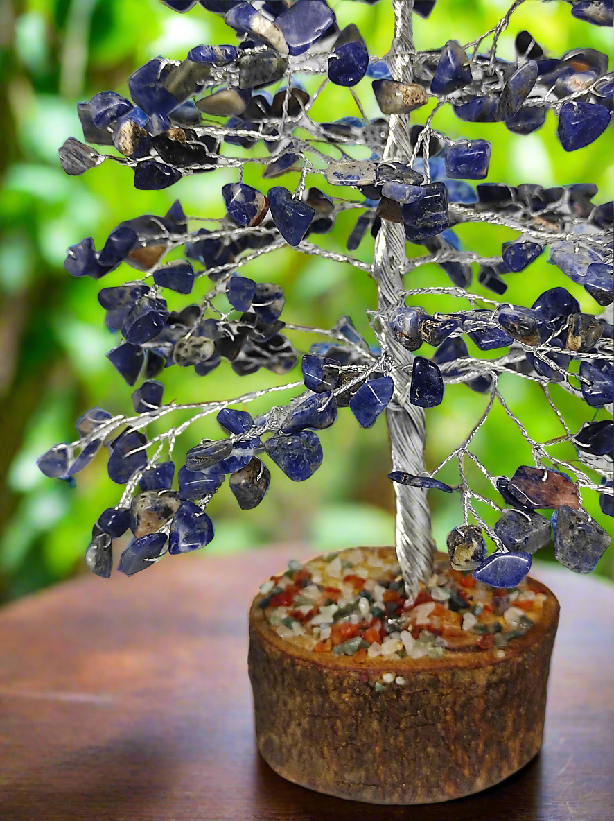 Arbre du Bonheur Sodalite